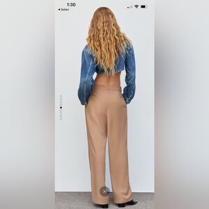 Mango Wide Leg Pleated Pants